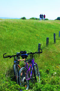 Radwandern auf den d&auml;nischen Ostsee-Inseln Lolland und Falster