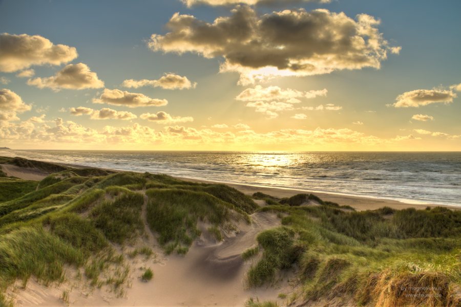 Dünen und Strand an der dänischen Nordseeküste im Abendlicht