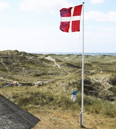 Dünen an der Nordsee