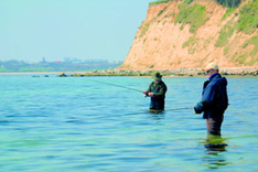 Heringsangeln in Hvide Sande an der Nordseeküste Dänemarks