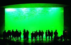 Ausflugsziel Nordsøen Oceanarium Hirtshals