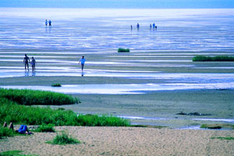 Nationalpark Wattenmeer Dänemark eröffnet