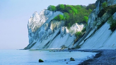 Die Kreideküste Møns Klint