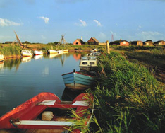 Am Ringkøbing-Fjord in Westjütland (Foto © Cees van Roeden/VisitDenmark)