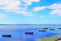 Skive am Limfjord, Dänemark