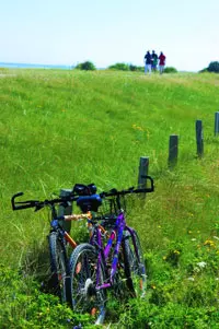 Radwandern auf den dänischen Ostsee-Inseln Lolland und Falster